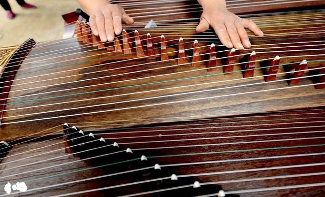 儿童学古筝买什么古筝好,古筝购买