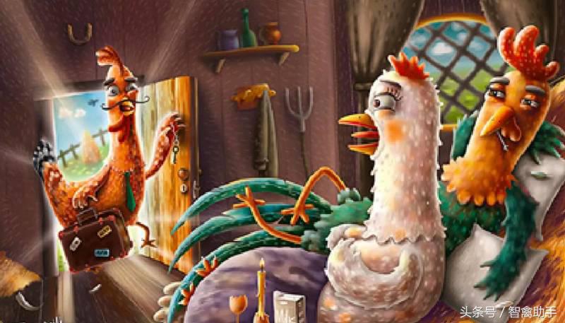 小鸡啄肛什么原因,鸡子啄鸡蛋是什么原因