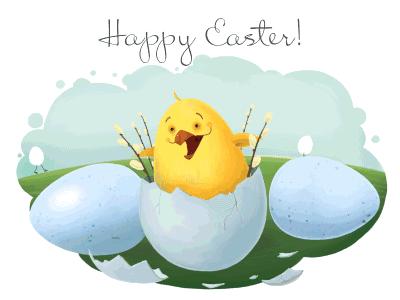 小鸡啄肛什么原因,鸡子啄鸡蛋是什么原因