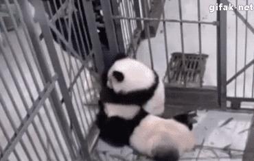 据说只要看到这双“雪地靴”，姑娘们都会挪不动脚！