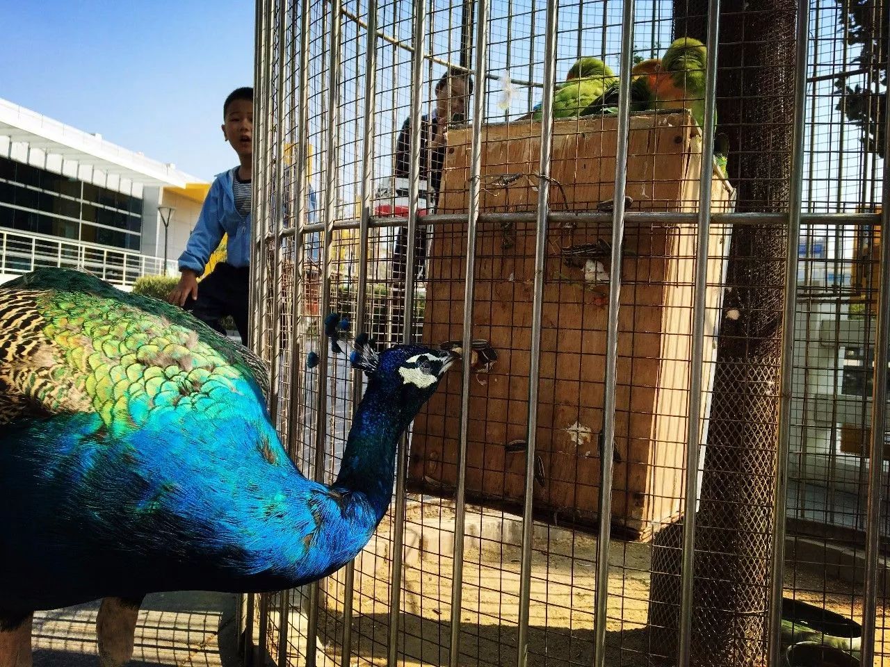 北京最高端驾校,北京性价比最高的驾校