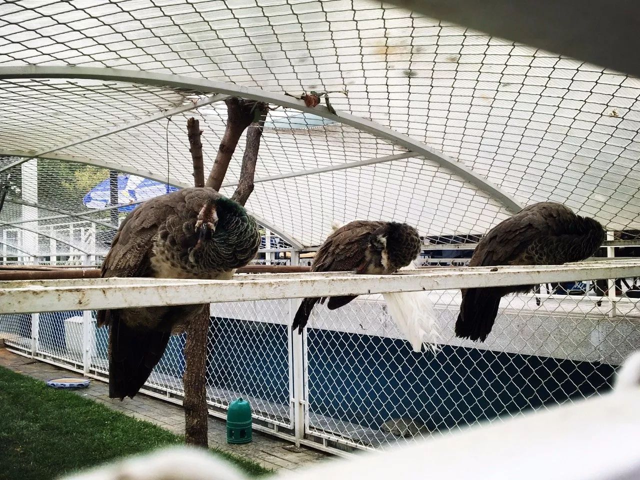 北京最高端驾校,北京性价比最高的驾校