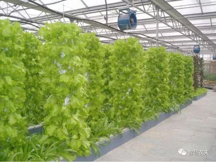 无土栽培营养液配方表,无土栽培技术视频大全