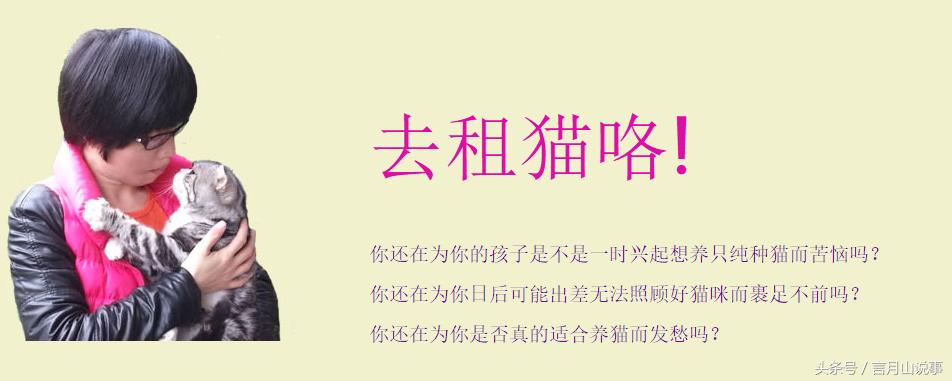 共享猫咪可以用吗,共享猫咪9.9元租一天