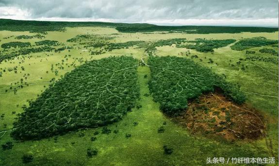 用纸，我们有什么理由改变你的习惯？