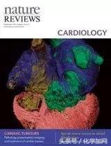 nature杂志封面2023图文,nature杂志渐变色