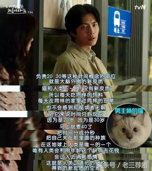 甜到炸裂的韩剧第一集就表白,超甜韩剧第一集就吻