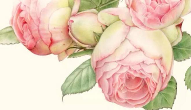 多囊调理期间怀孕了怎么办,多囊怎么调理促排