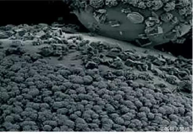 学区房中产阶级,学区房中产真实感受