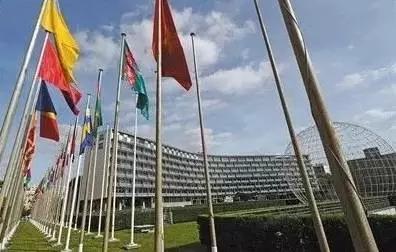 美国有老板卷款跑路的事件吗,美国快递跑路