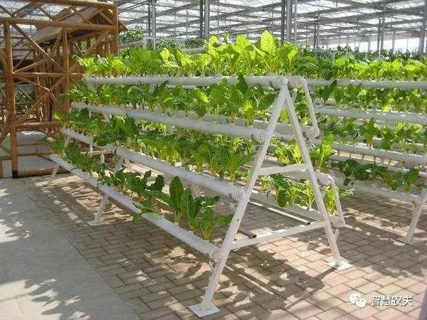 无土栽培营养液配方表,无土栽培技术视频大全