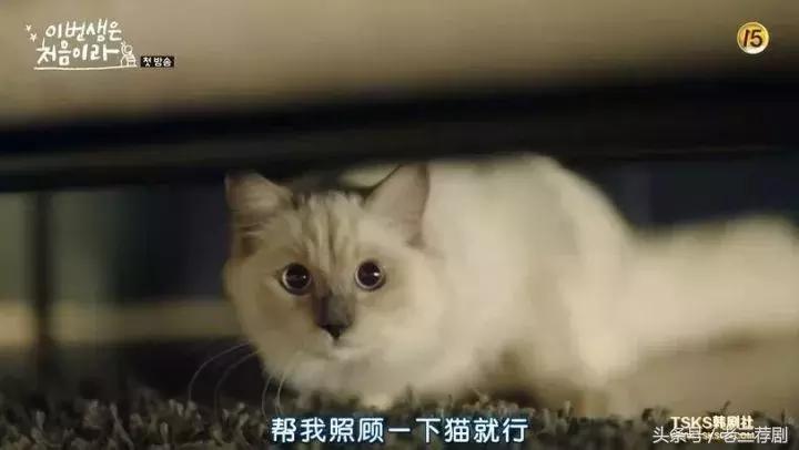 甜到炸裂的韩剧第一集就表白,超甜韩剧第一集就吻