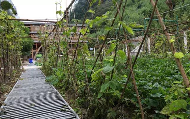 四川看红叶最佳地方自驾游,四川彩林红叶最佳观赏地点