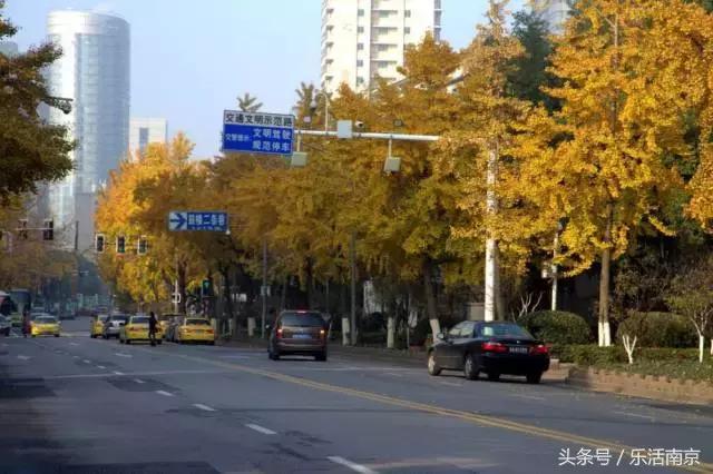 1949-2019南京变化,2011-2012年南京