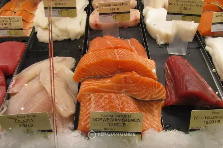 蓝鳍金枪鱼辨别真假,蓝鳍金枪鱼大腹如何辨认真假