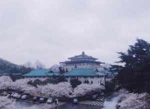 品金庸写的武侠小说,武侠言情小说美人