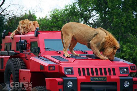 派拉蒙掠夺者的解说,派拉蒙掠夺者实战