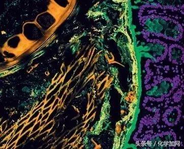 nature杂志封面2023图文,nature杂志渐变色