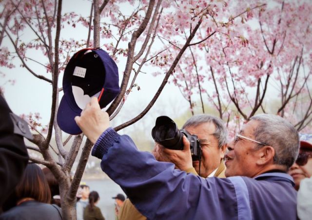 眼前所见皆是风景,走过的都是风景留下的都是故事