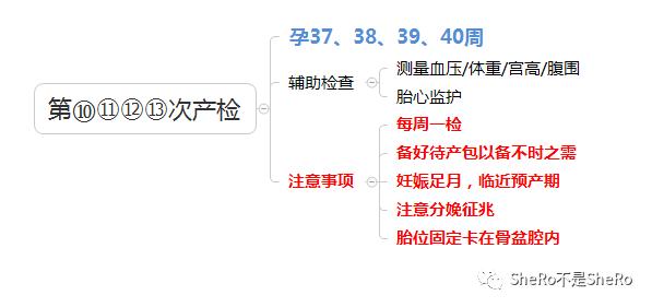 孕妈必备，产检时间表检查内容
