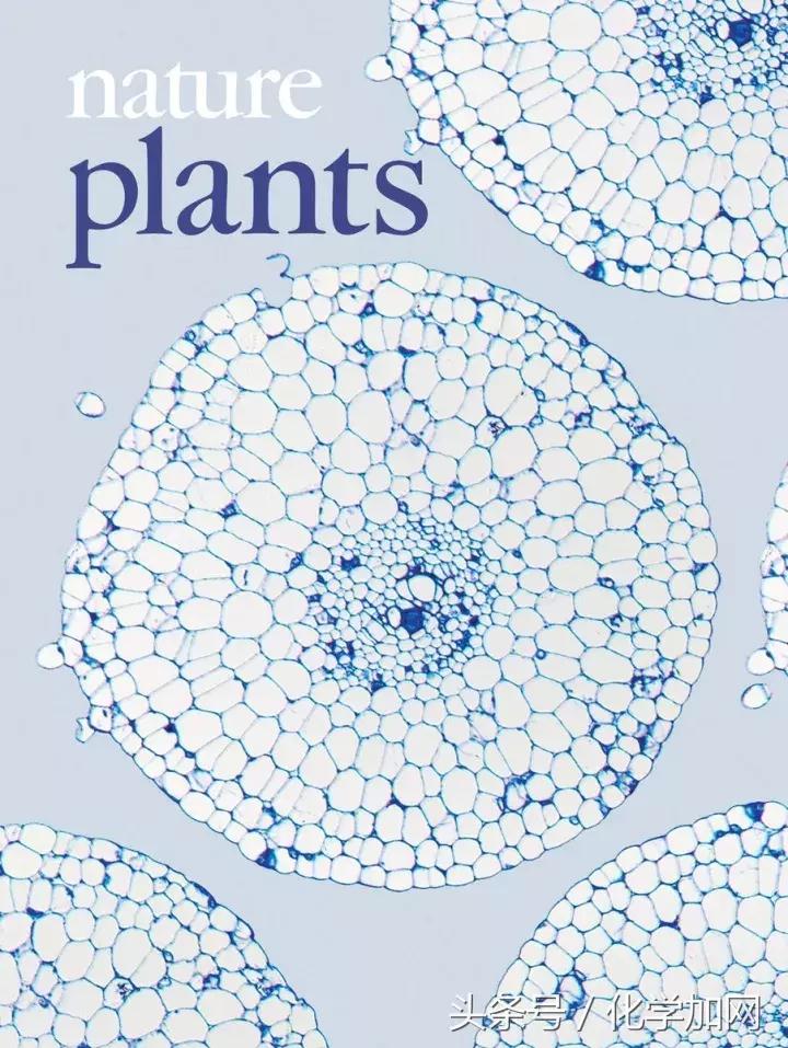nature杂志封面2023图文,nature杂志渐变色