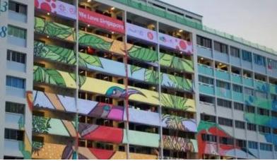 新加坡组屋装修攻略,新式组屋设计图