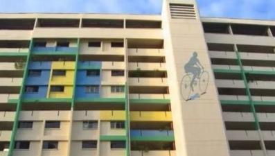 新加坡组屋装修攻略,新式组屋设计图