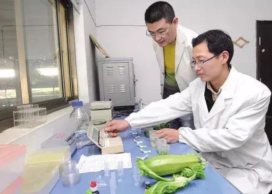 许昌生态家园,许昌宜居家园