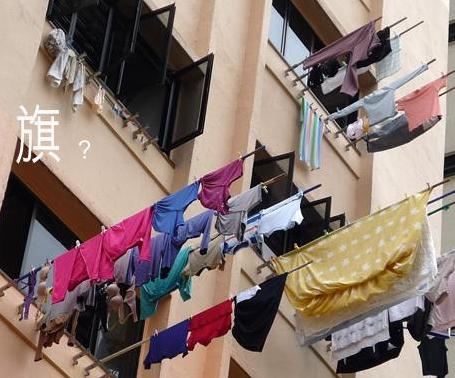 新加坡组屋装修攻略,新式组屋设计图