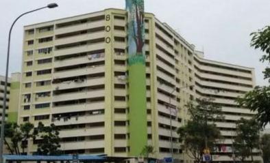 新加坡组屋装修攻略,新式组屋设计图