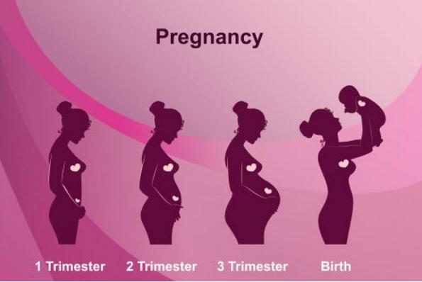 孕妇贫血需要补铁到什么时候,孕期贫血需要喝什么补铁的