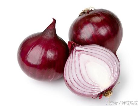 洋葱种植区域分布 (水培洋葱种植方法)