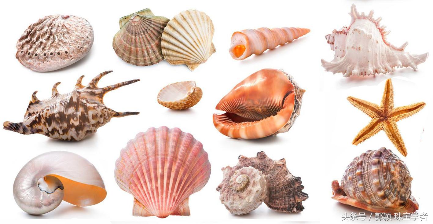 匠心独运的精品,匠心独运可以形容才能吗