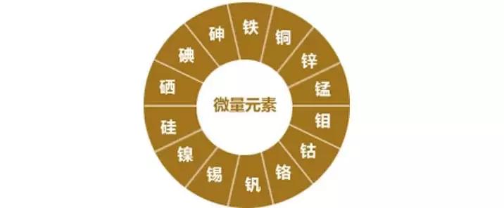 德铂铸铁锅质量怎么样,德铂铸铁锅