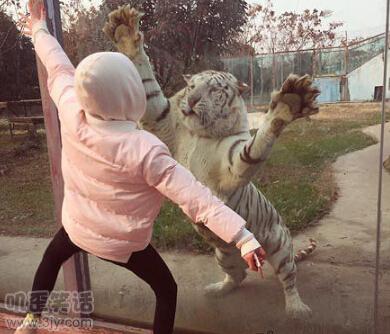 关于孩子的幽默小笑话,搞笑笑话幽默经典儿童