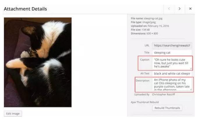 新手怎么做seo优化留痕,11个重要优化图片的seo技巧