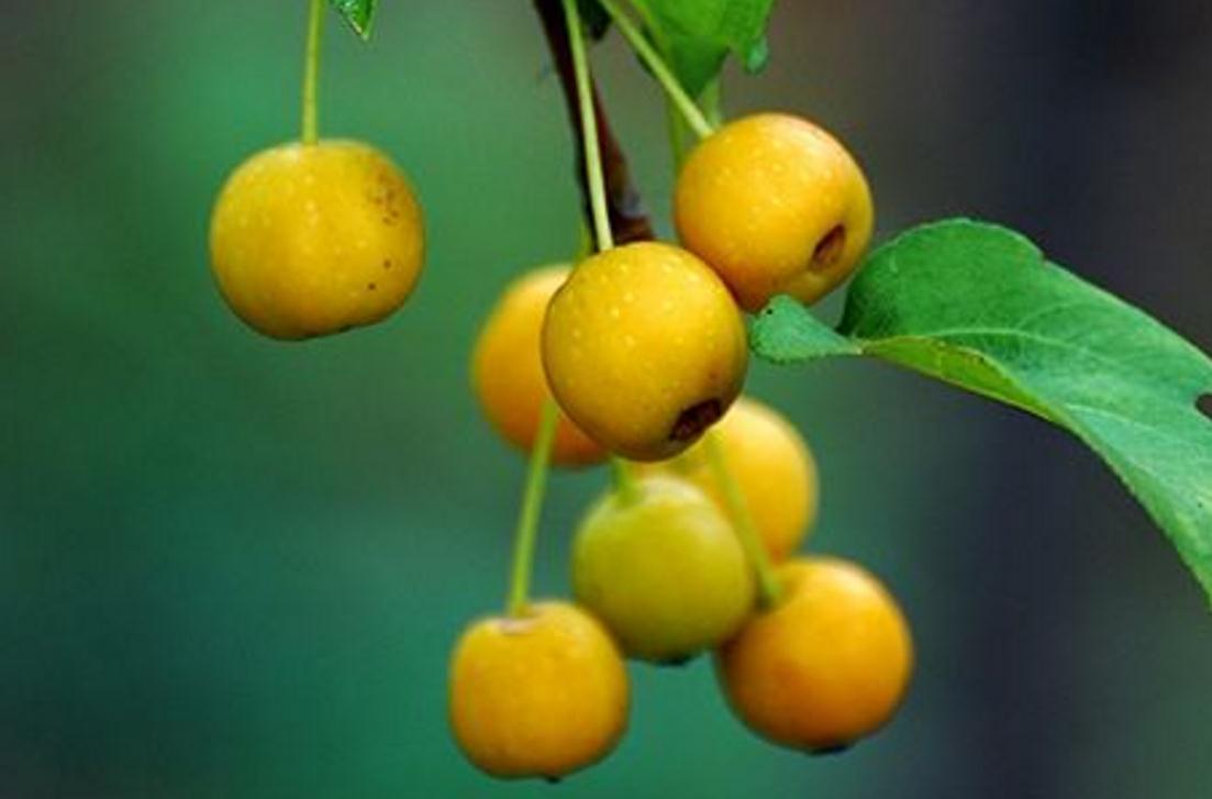 当你低谷时你该怎么做,当你对一切都彻底失望的时候