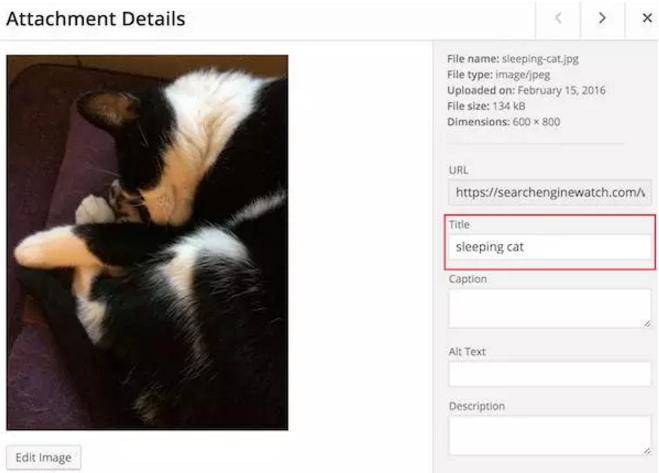 新手怎么做seo优化留痕,11个重要优化图片的seo技巧