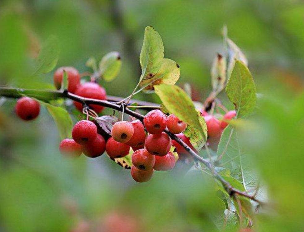 当你低谷时你该怎么做,当你对一切都彻底失望的时候