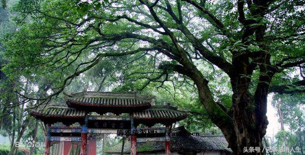 四川绵阳三台县乡镇地图,绵阳市三台县简介