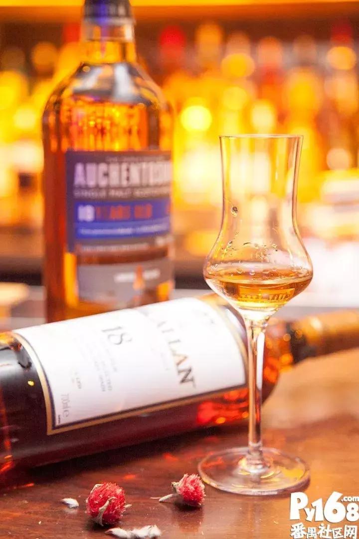 一间bar,一间轻奢型的咖啡馆