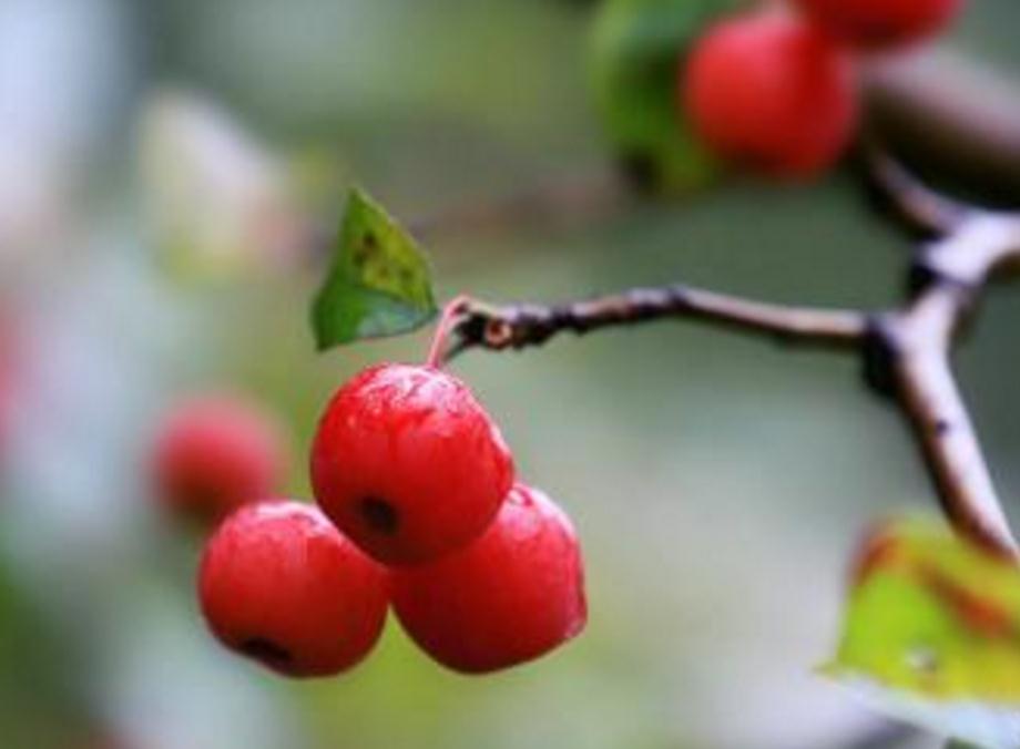 当你低谷时你该怎么做,当你对一切都彻底失望的时候