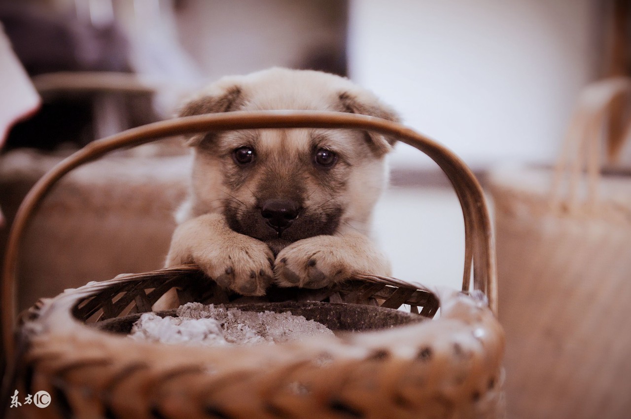 日子没法过下去了,日子太难过过不下去了