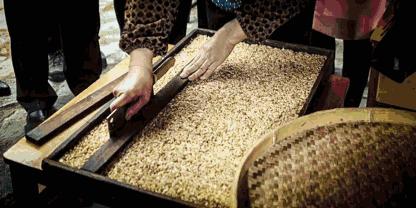 去都江堰必带东西,来到都江堰必吃的美食