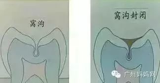 家有儿童的福利,有小孩的家庭有哪些福利