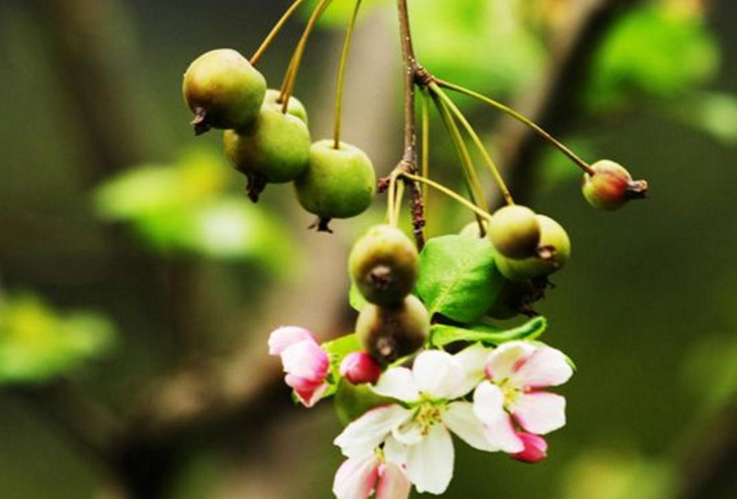 当你低谷时你该怎么做,当你对一切都彻底失望的时候