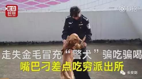 英国警察不再管偷窃等低级犯罪,法治三分钟知天下