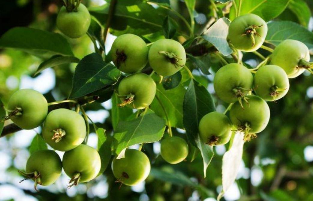 当你低谷时你该怎么做,当你对一切都彻底失望的时候