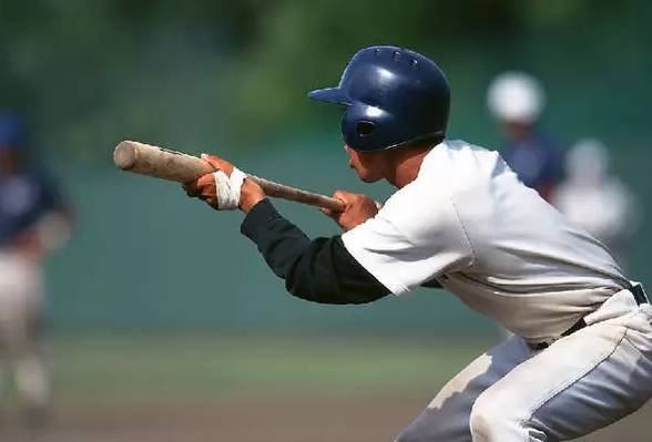 买天津学区房真的有必要吗,天津买学区房城六区哪个可以入手