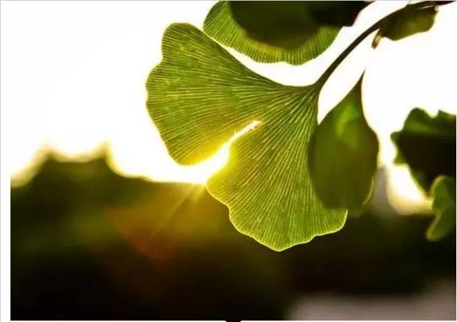 一号难求的名医专家,名医一号难求免费坐诊